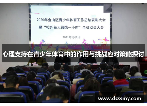 心理支持在青少年体育中的作用与挑战应对策略探讨