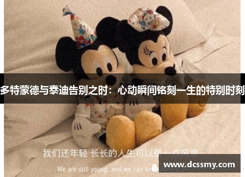 多特蒙德与泰迪告别之时：心动瞬间铭刻一生的特别时刻