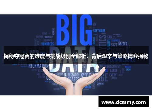 揭秘夺冠赛的难度与挑战级别全解析，背后艰辛与策略博弈揭秘