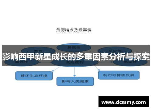 影响西甲新星成长的多重因素分析与探索