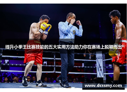 提升小拳王比赛技能的五大实用方法助力你在赛场上脱颖而出