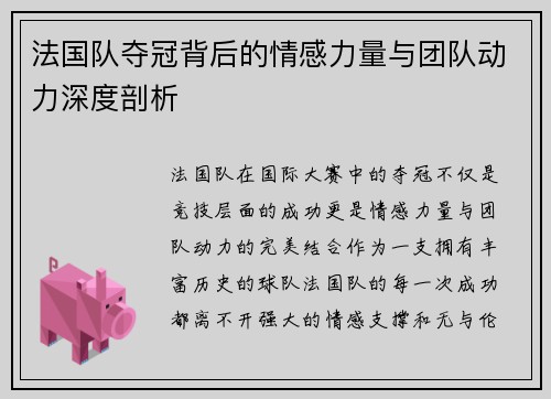 法国队夺冠背后的情感力量与团队动力深度剖析